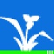 譜譜風打譜軟件 v3.4破解版