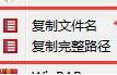 批量復制文件名路徑工具 v1.0綠色版