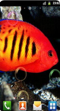 水族館動態壁紙