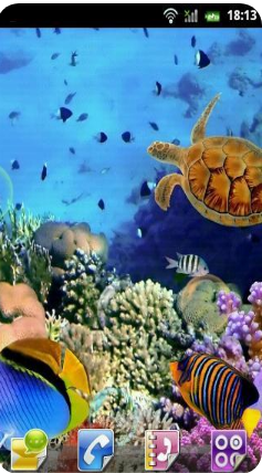 水族館動態壁紙