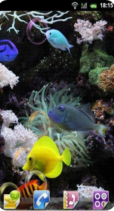 水族館動態壁紙
