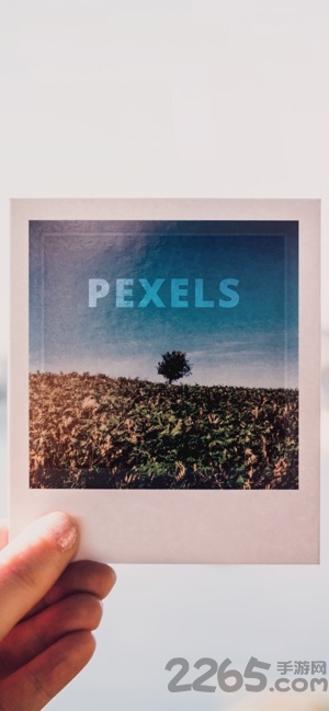 Pexels手機版
