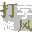 打字旋風 綠色破解版