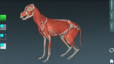人體解剖學(xué)圖集3D