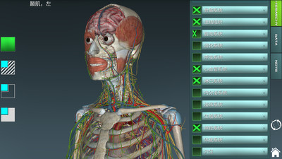 人體解剖學(xué)圖集3D