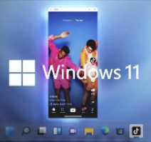 win11安卓子系統(Android 12.1) 最新獨立安裝包