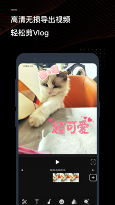 迅捷視頻轉換器