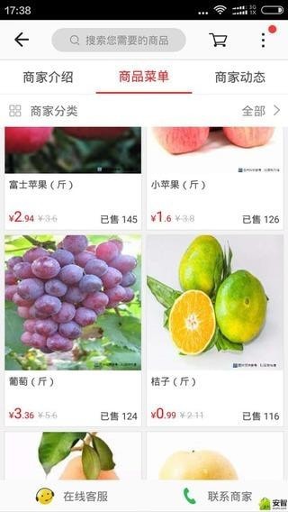 掌上壽州