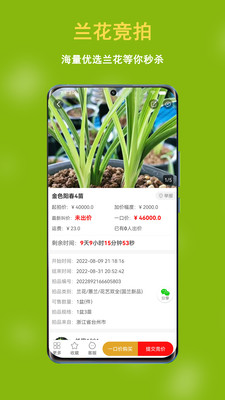 中國蘭花交易網