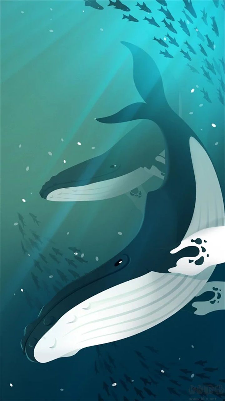深海水族館