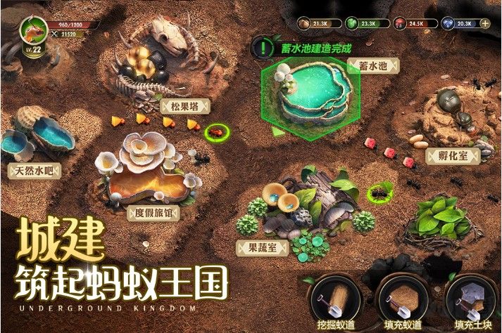 小小蟻國手游正版下載