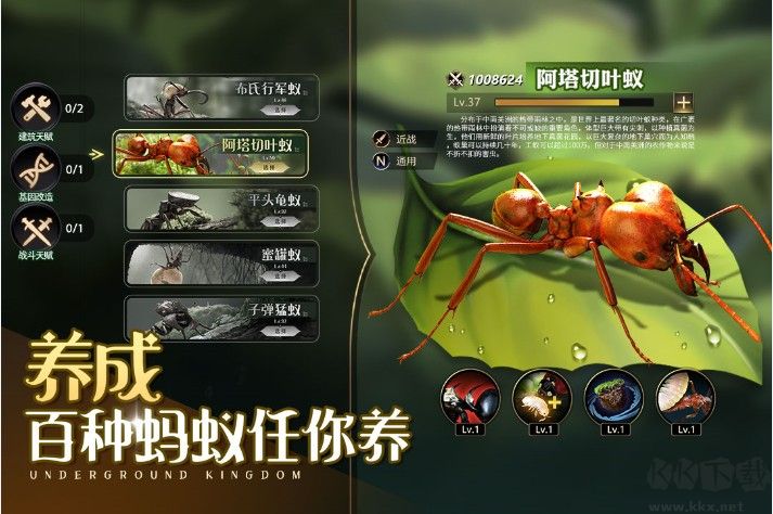 小小蟻國官方版