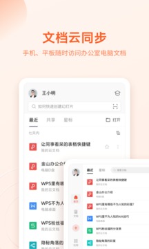 WPS專業(yè)版安卓版