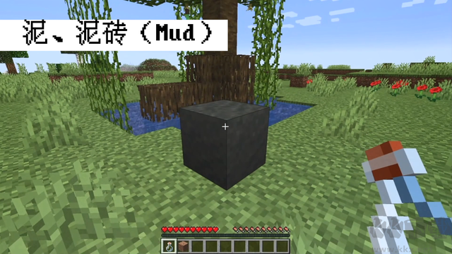 我的世界國際版1.19版本