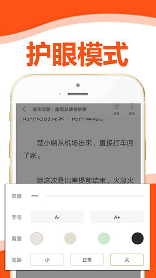 懶貓小說