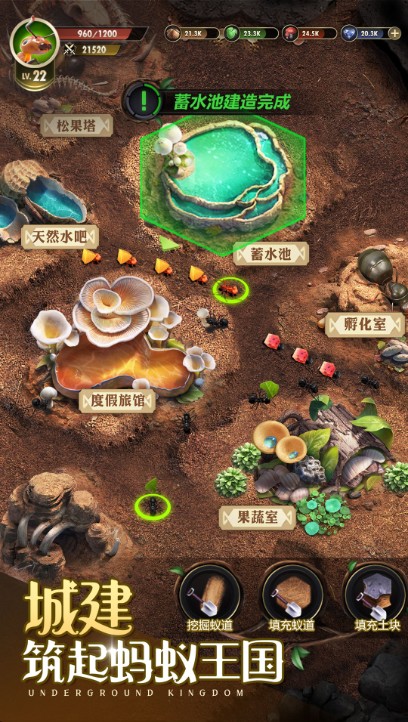 小小蟻國超強福利版下載