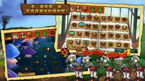 植物大戰僵尸西游版