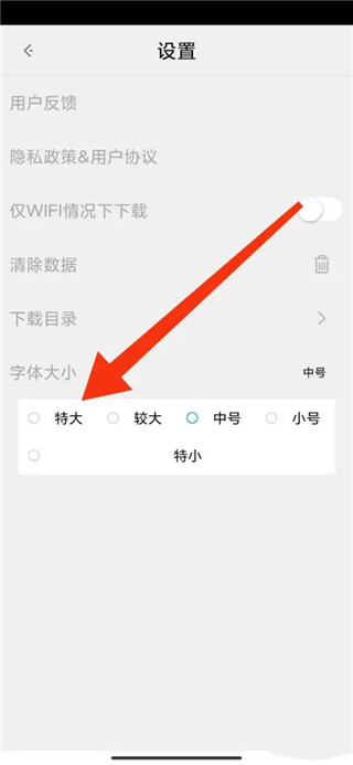 閃電瀏覽器怎么設置字號