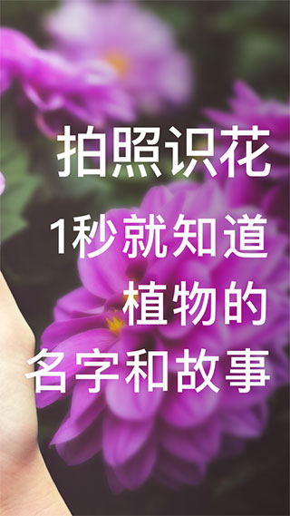 形色識花APP