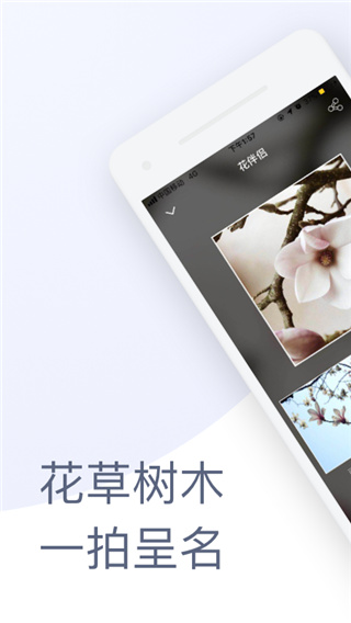 花伴侶下載