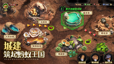 小小蟻國內購破解版