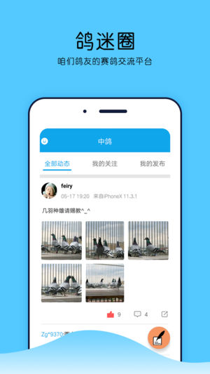 中鴿網(wǎng)直播平臺(tái)