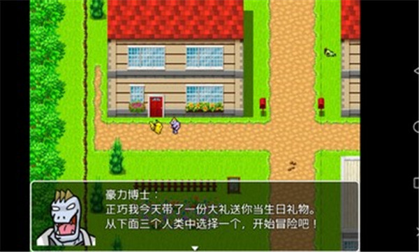 口袋人類