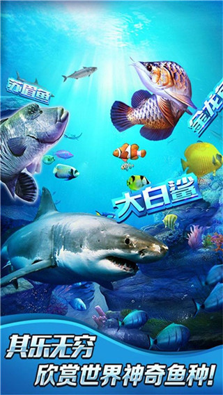 全民釣魚下載安裝