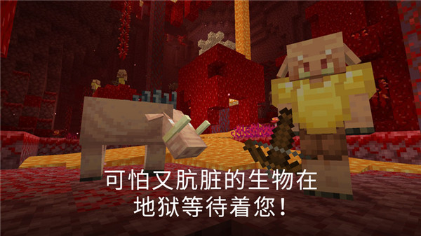 基巖版我的世界