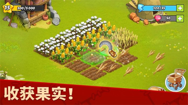 家庭島(Family Island)