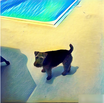 prisma app下載
