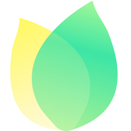飛火動態壁紙電腦端 v2.2.5.1