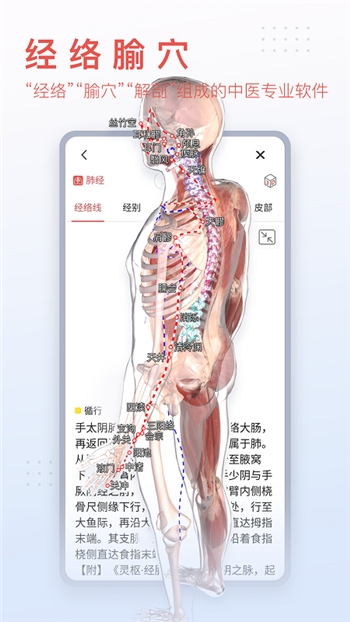 3Dbody解剖解鎖會員版