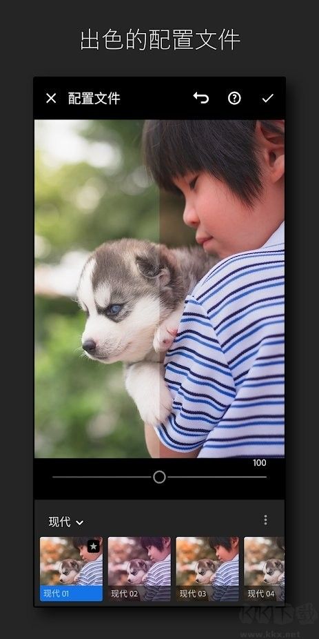 Lightroom(手機修圖)破解版