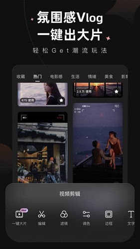 Meitu Wink高級(jí)專業(yè)版