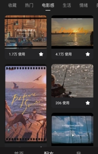 Meitu Wink高級(jí)專業(yè)版