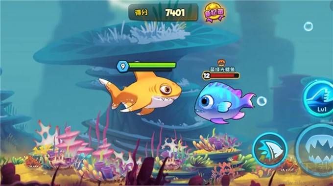 魚(yú)吃魚(yú)最新版