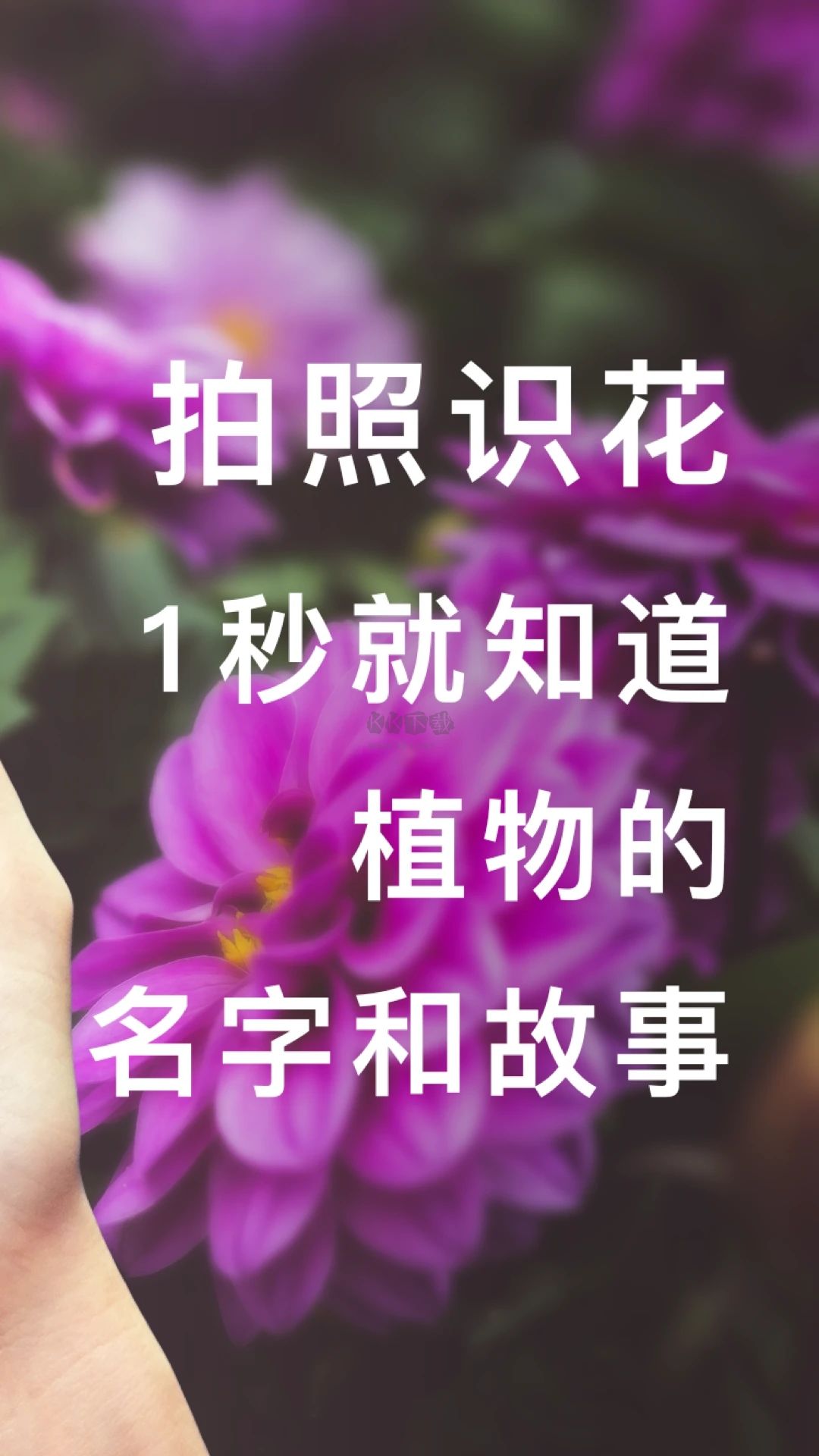 形色app(花卉識別)官方新版本