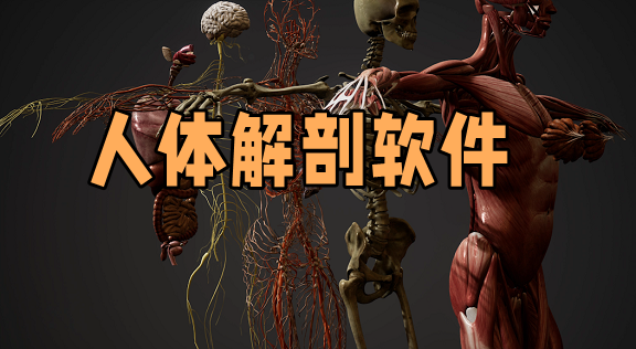 人體解剖軟件推薦下載-人體解剖圖譜app免費下載-完整的人體解剖圖譜app免費下載大全