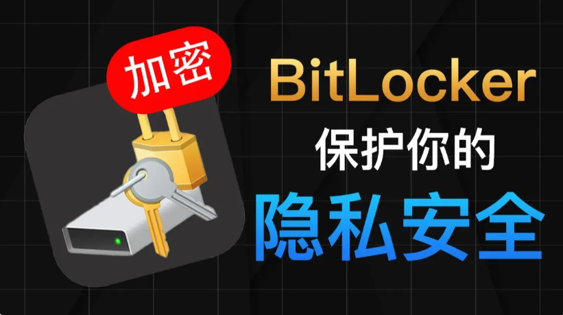 bitlocker下載-bitlocker免費版/最新版-bitlocker各種版本合集