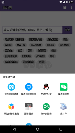 磁力貓高級版