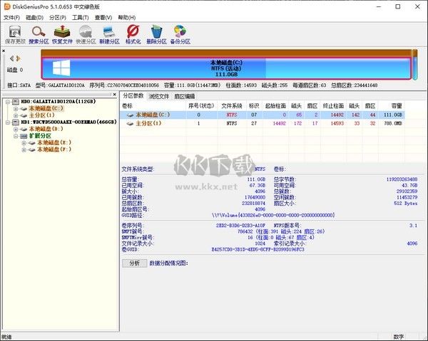 DiskGenius Pro專業版