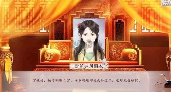 深宮曲2024最新版