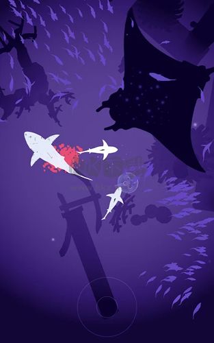 狩獵魚(yú)群2024最新版
