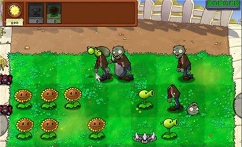 植物大戰僵尸隨機模仿者無限陽光版