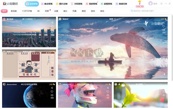 小鳥壁紙最新版