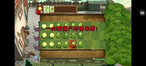 植物大戰(zhàn)僵尸內(nèi)置作弊菜單版