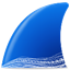 wireshark便攜版 v4.2.4免費(fèi)版