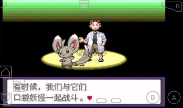 口袋妖怪漆黑的魅影無限大師球版