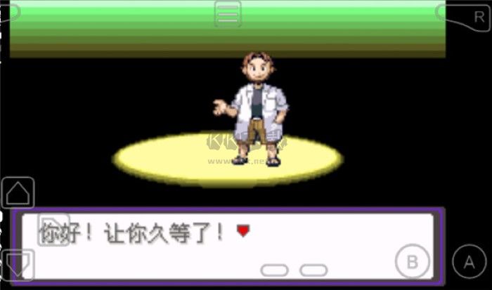 口袋妖怪漆黑的魅影無限大師球版